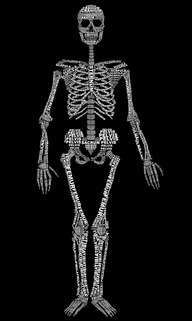 Skeleton Typography - Elizabeth Parkin